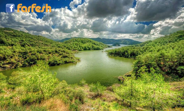 ����� ������ �������� �����