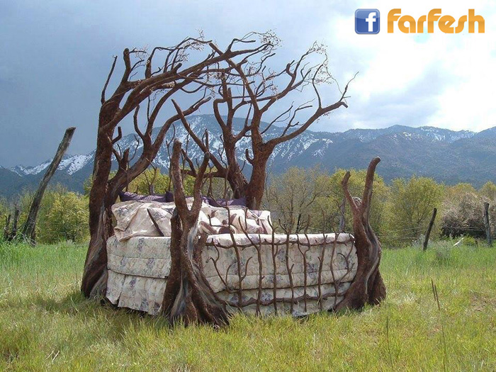 ���� ������ 