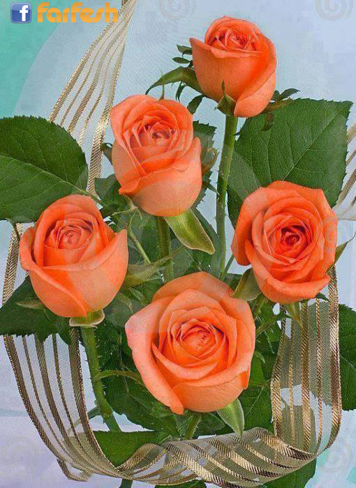 ���� ��� ��������