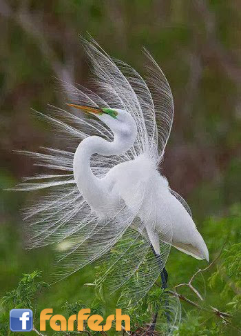 ���� ����