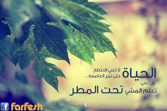  ��� ���� ����� ����� ����� �� ������ ������ ������