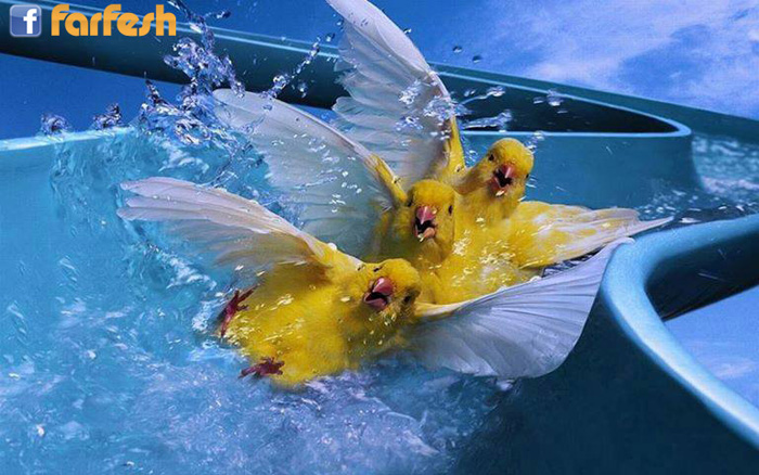 �� ������