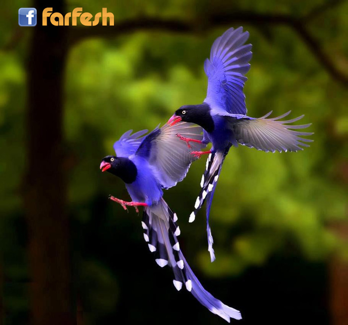 ����� ���� ���� ��� ���� ����� ������