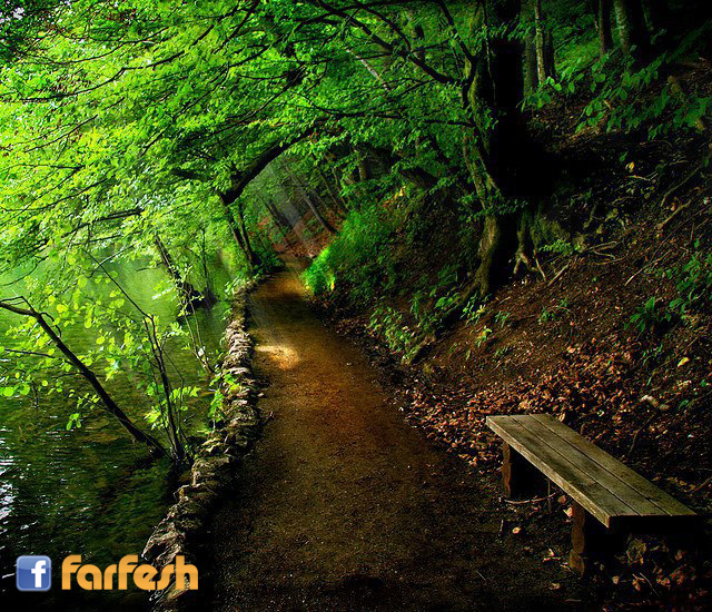 �������� ������� ������ɡ �������