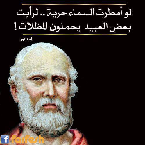 �� ���� �� ��� ������� 