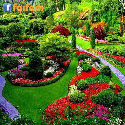 ��� �� �����