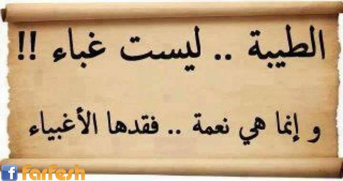 ������ ���� ����� ��������