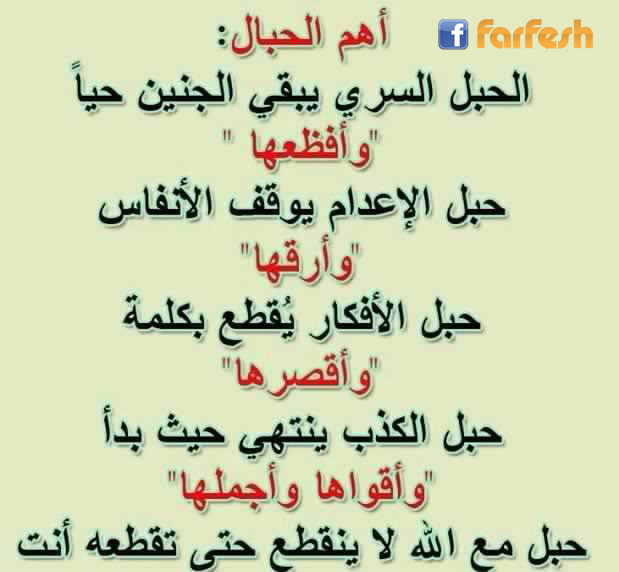 ��� ������ :