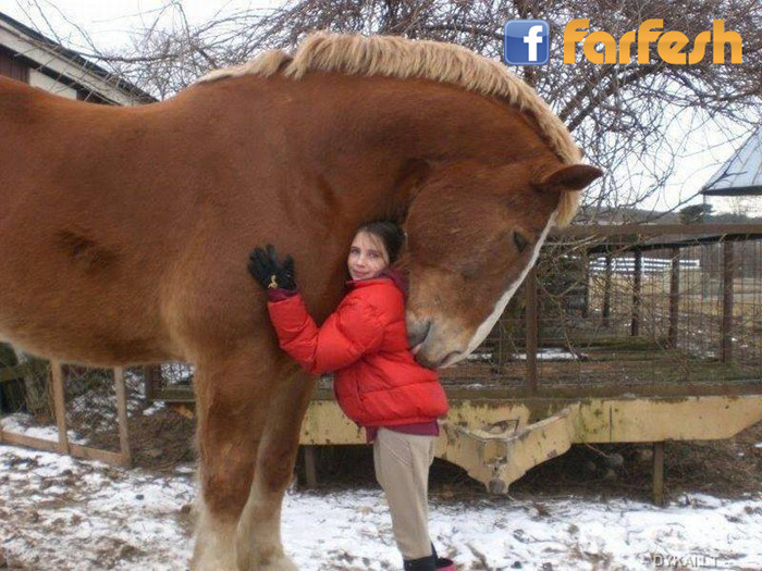 ��� ���� �� ���� ����