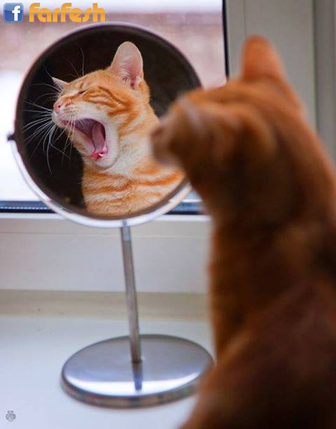 �� �� ����� !!!!