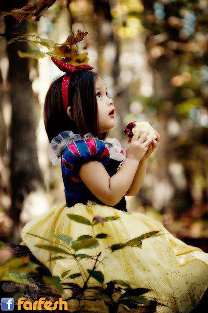 ������� ���� ���� �� ���� ���� �� �����