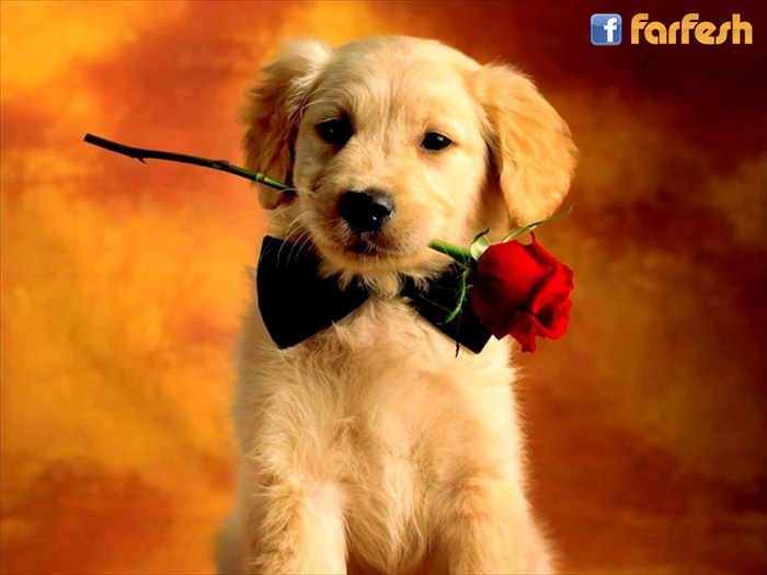 �� �����!