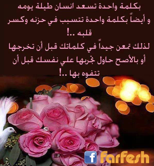 ���� ����� ����� �� ���� ����