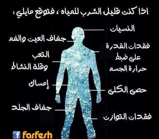 ������ �����