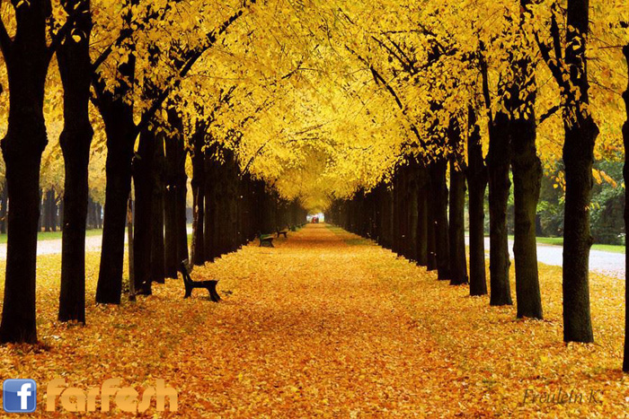 ���� ����� �� ������� ������ ������