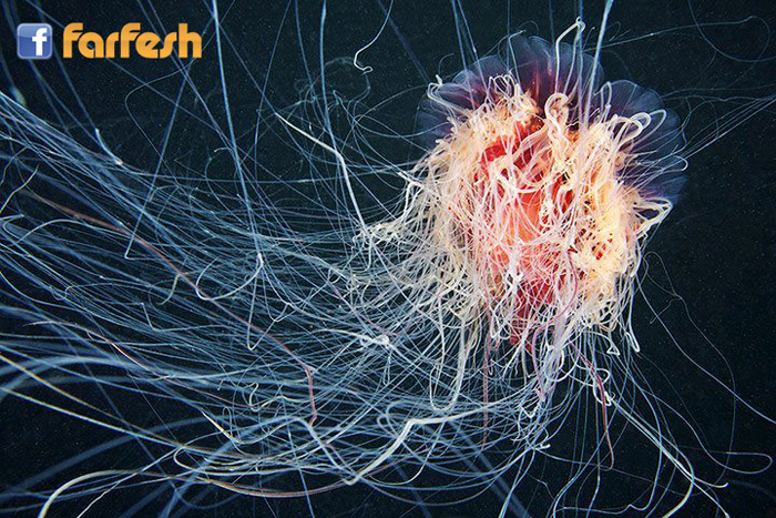 ���� ����� ���� ����� ����� ����� ��� �� �����