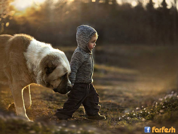 ������ ����� ��� ������ :-)