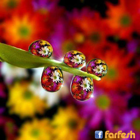 ������ ���� ����� ��� ����� �����