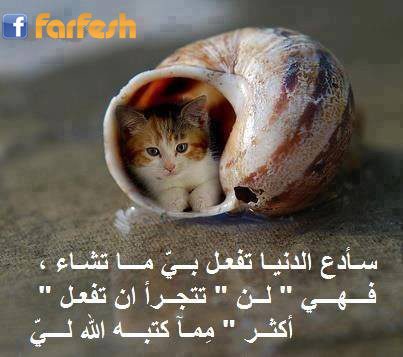 �� �� ������ ��� �� ��� ���� ���