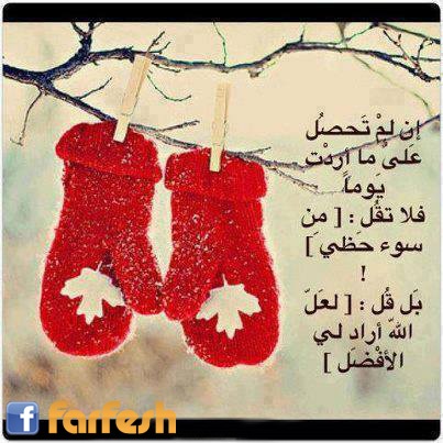 ���� ����� 