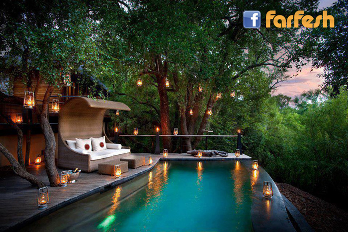 ������� ������ ���-.......