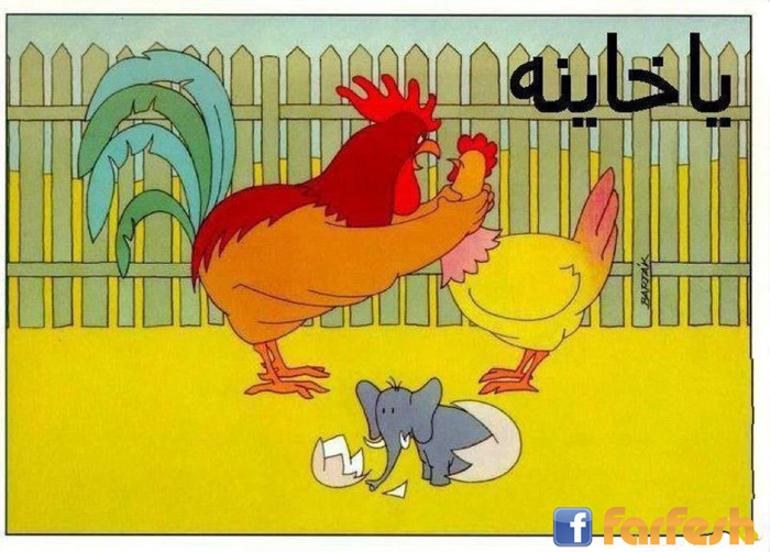 �� ����� ����������