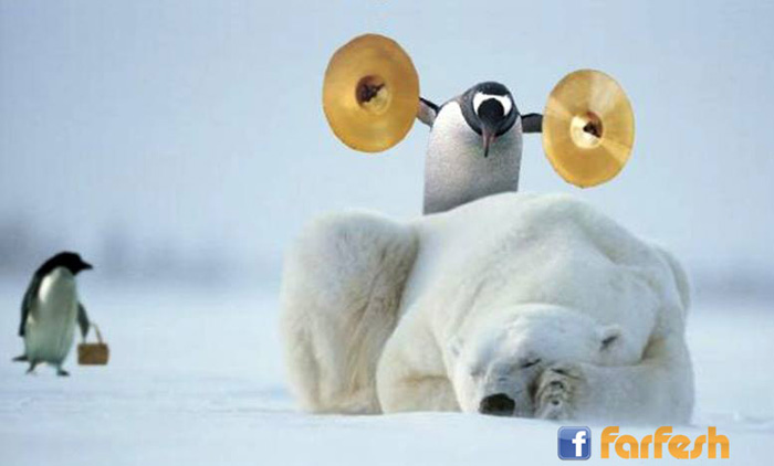 ���� �� ���� ��� ������...�����