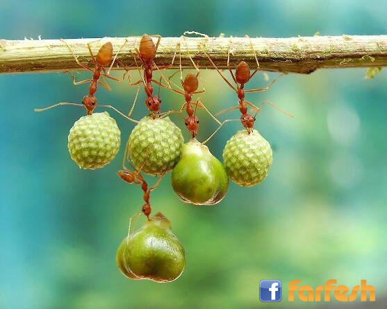 ������ ���� ��������� ����� ������� ���� ���� ����� ����