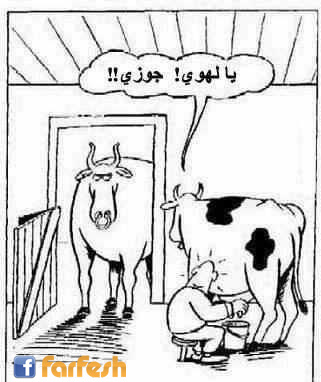 �������... ������