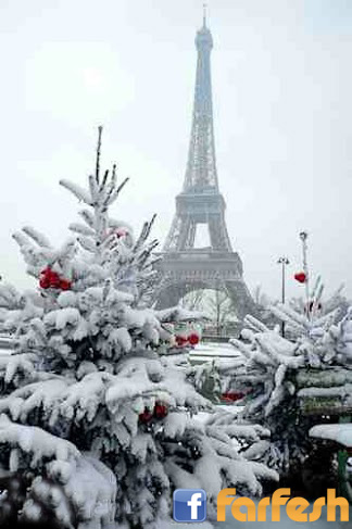 ����� ����� �������� �����