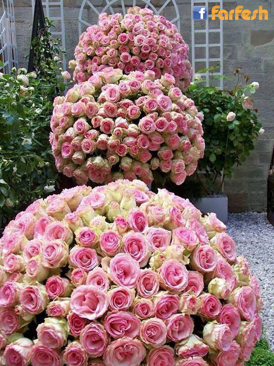 �� ���� ����� �����