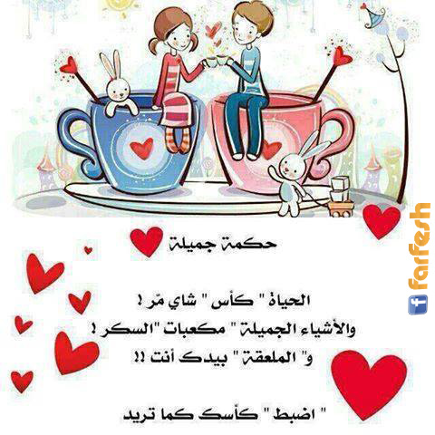 ���� �����