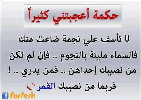 ���� ������� ������