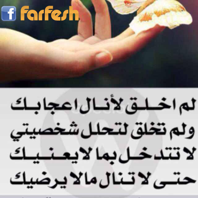 ���� ����� ������