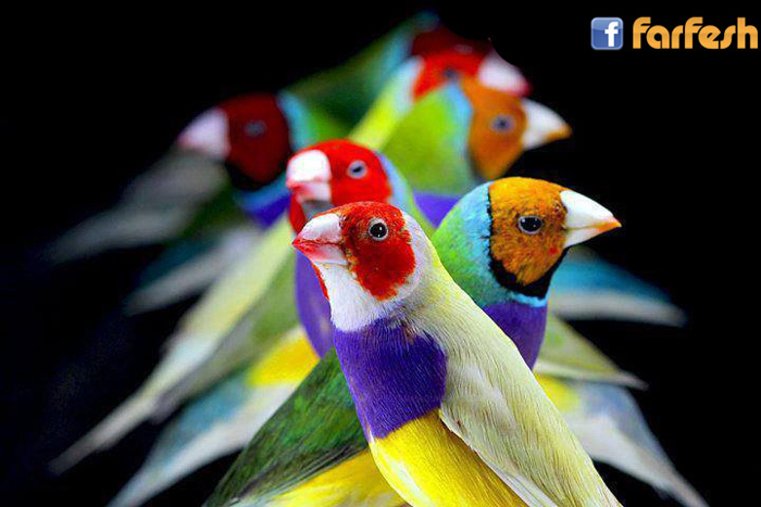 ������ �� ������ ������� ��� ���� ������