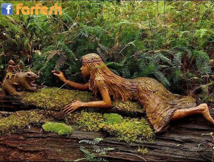 �� ����� ��� ������� 