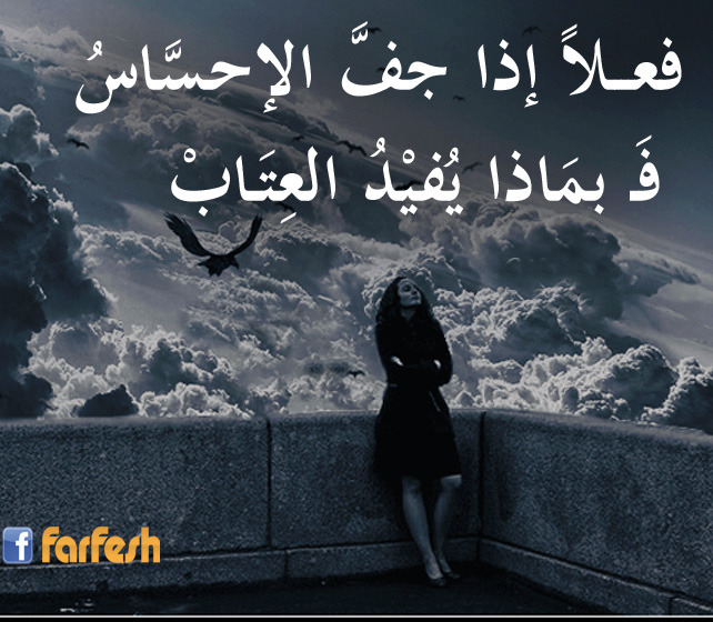 ���� ���� ���� ������