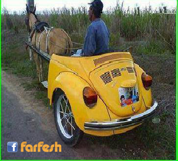 ��������� ���� �� ����