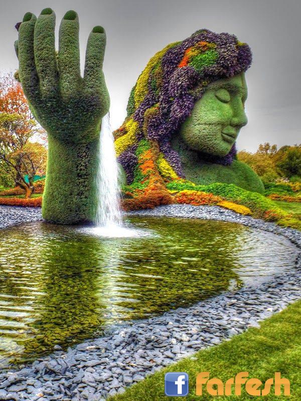 ���� ���� �����