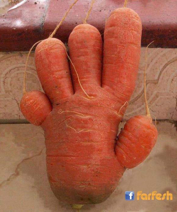 ���� ��� ��� ��