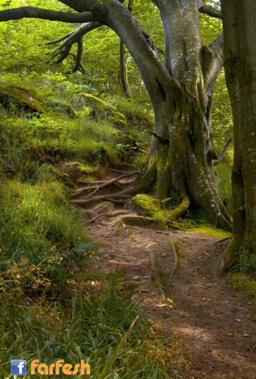 ���� ������� ��� ������ ������