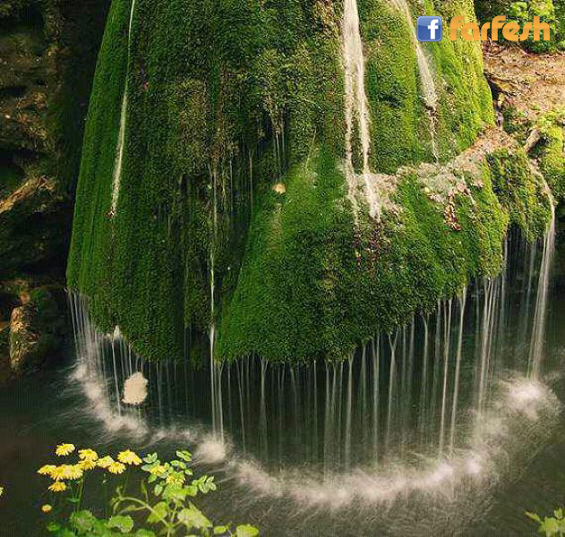 ���� �������