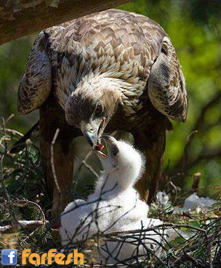 �� ���� �� ������ �� ����� ������