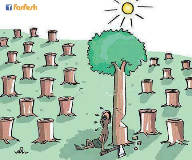 ������� ���� �������