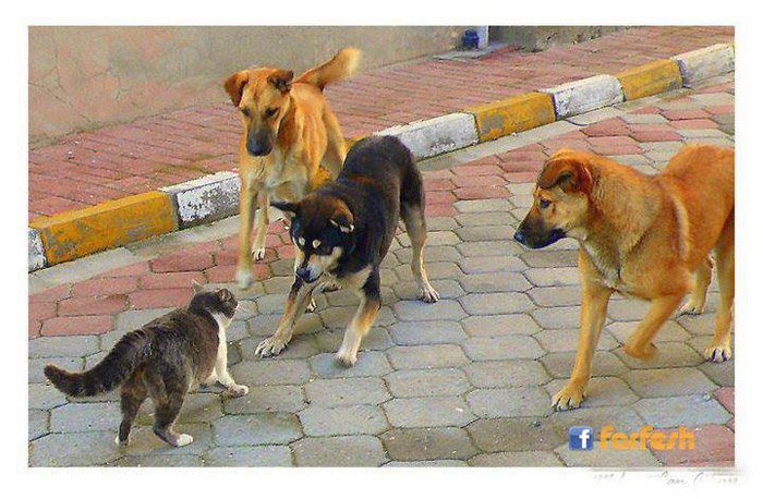 ��� ������� �� ����!!!