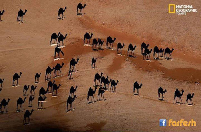 ����� ������� ���� ������ ������ ����� ������� �� ��� �� ����� �����