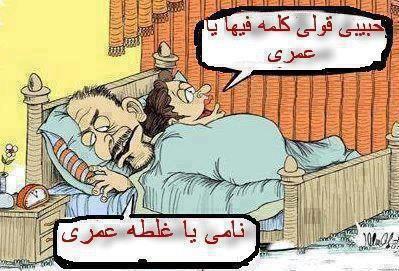 ������ ���