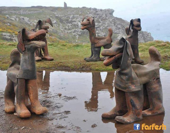 ����� ���� ������� ��� ����