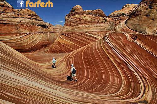 ���� ����� �� ����� �������