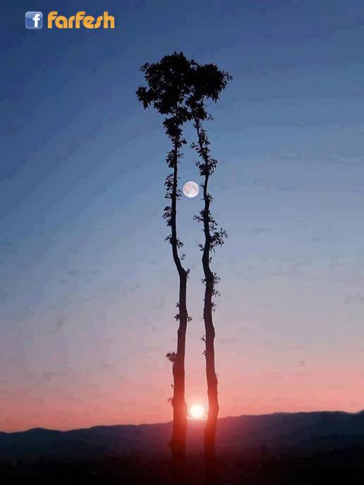 ���� �� ����